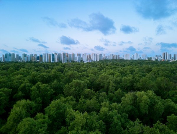 Découvrez les meilleures offres de croisière de luxe